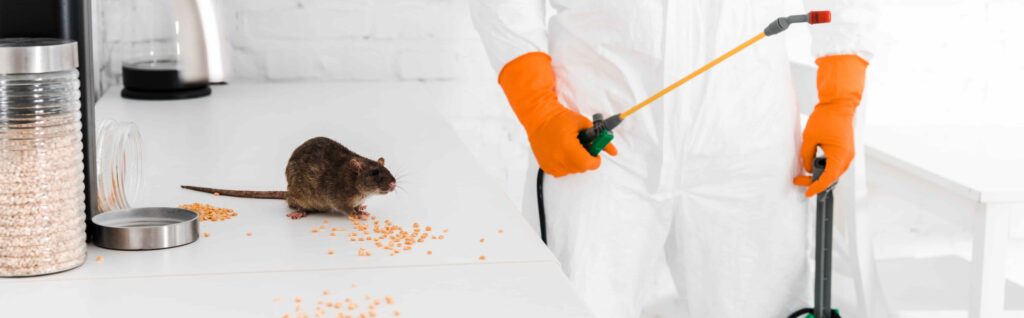 pest control services - Progressive Pest Management | Progressive Pest Management