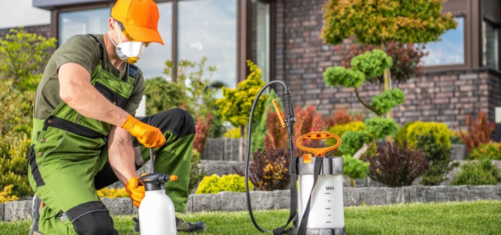 Eco-Friendly Pest Control: What You Should Know