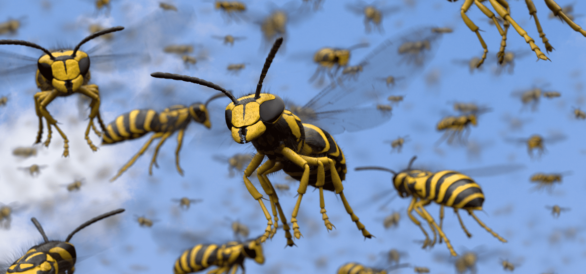 pest prevention services Winnipeg