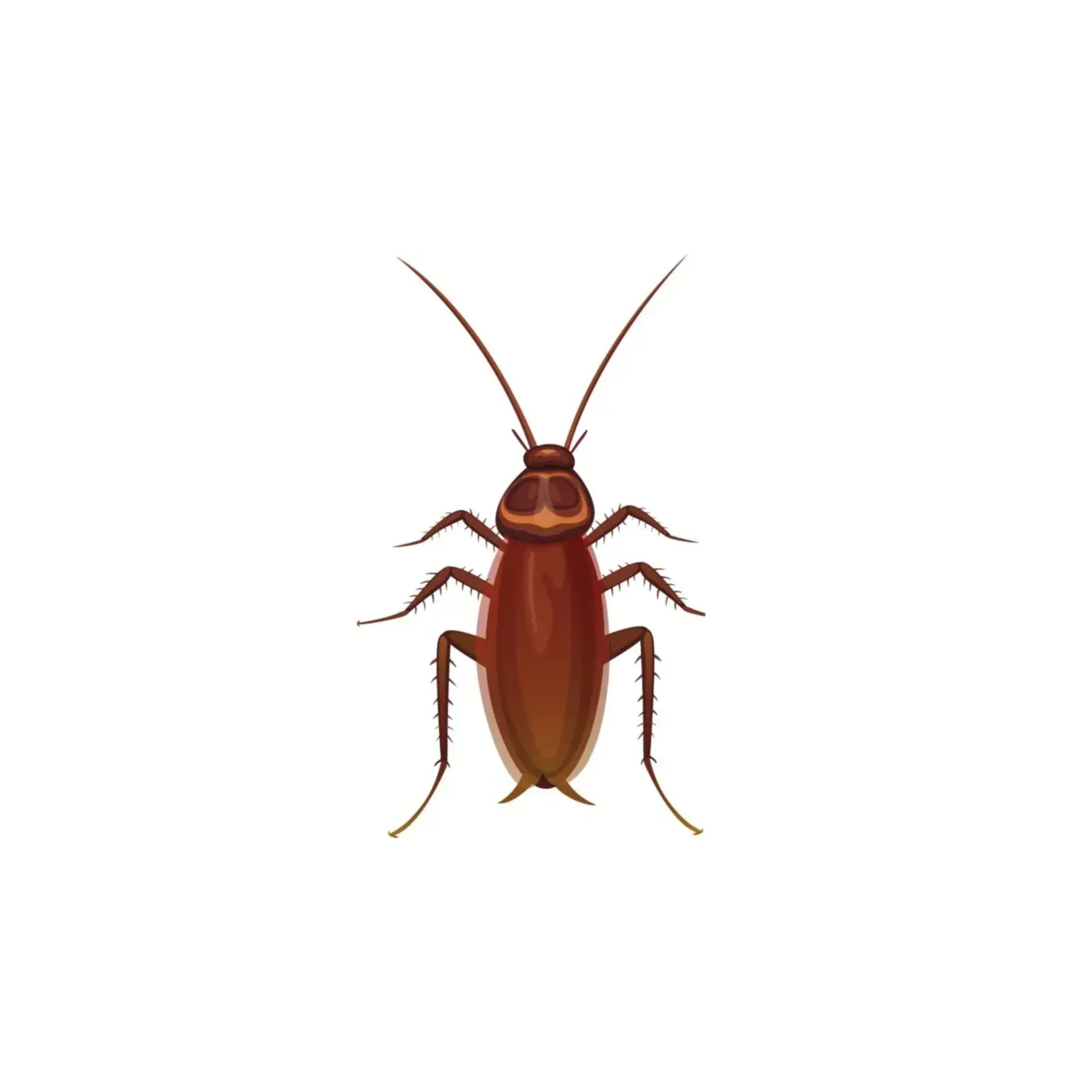 Winnipeg pest removal - Progressive Pest Management | Progressive Pest Management