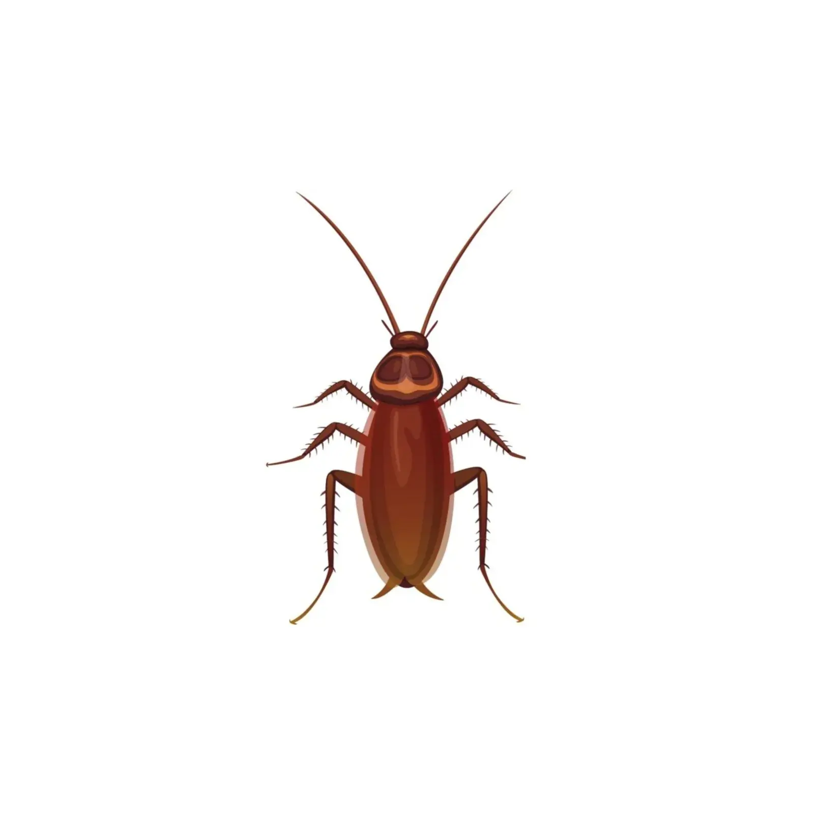 quality pest control winnipeg | Progressive Pest Management
