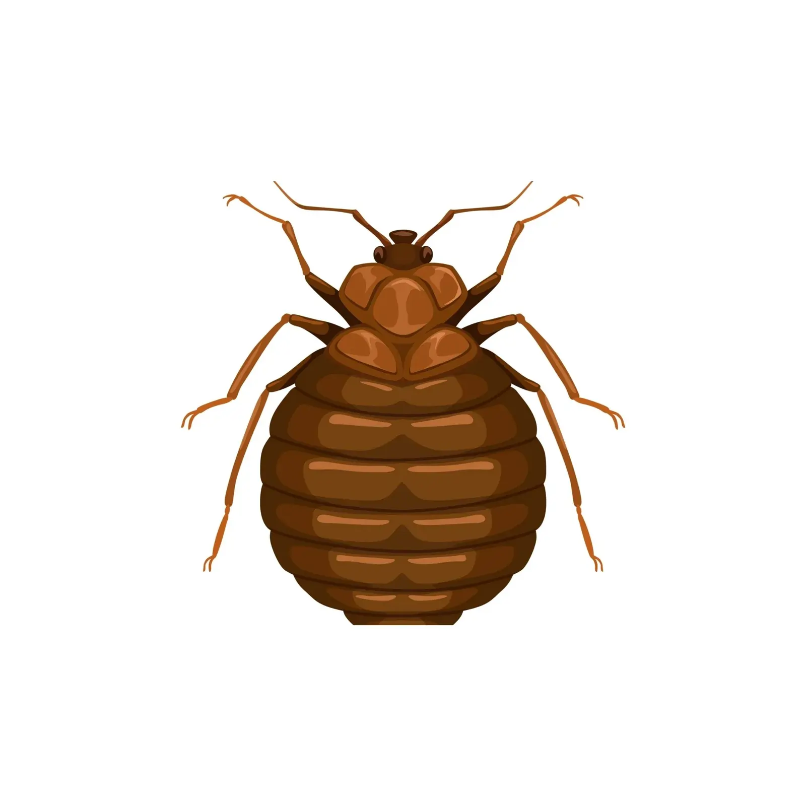 professional exterminators Winnipeg - Progressive Pest Management | Progressive Pest Management