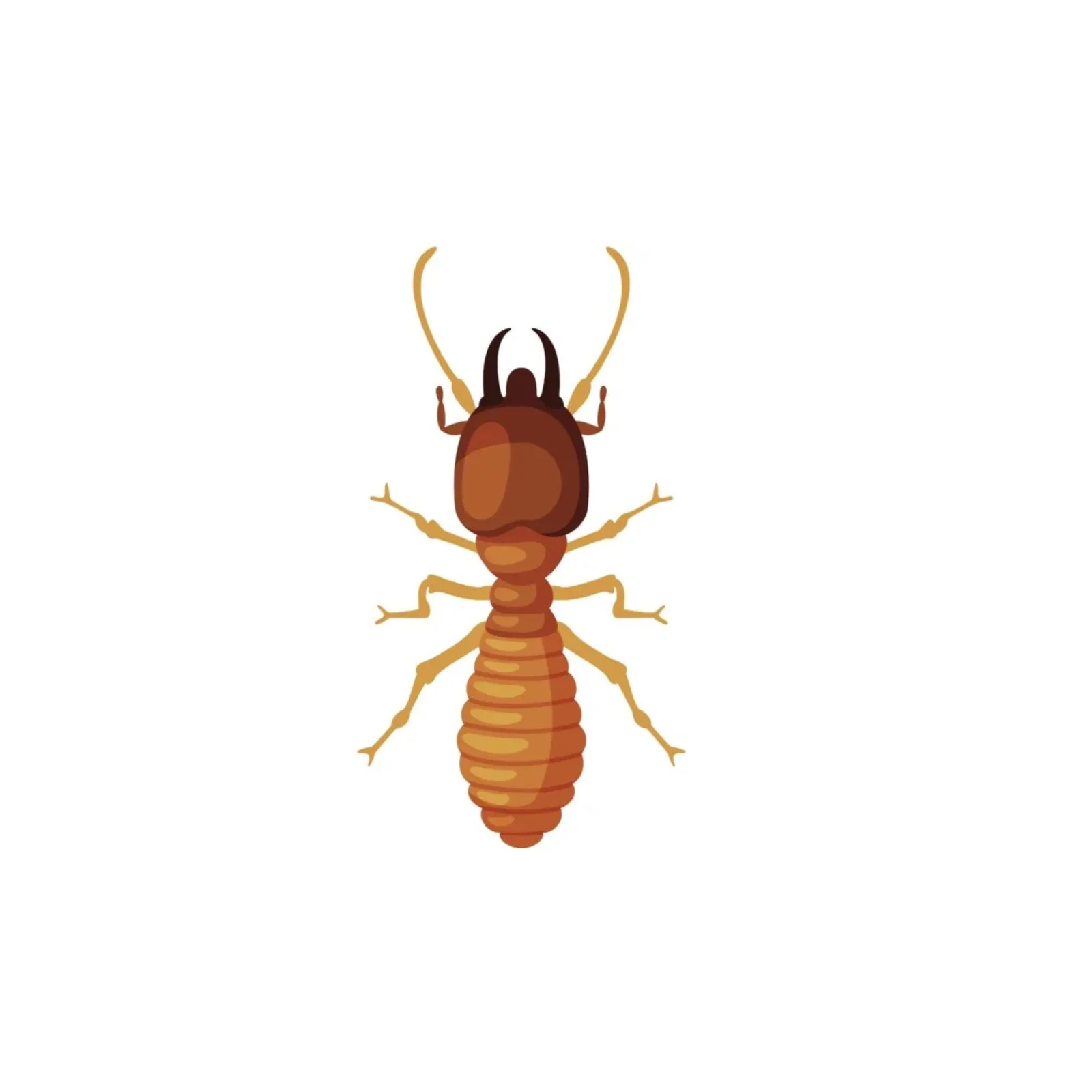 professional exterminators Winnipeg - Progressive Pest Management | Progressive Pest Management