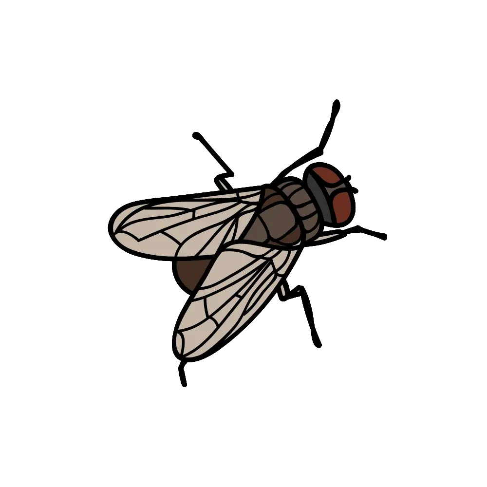 professional exterminators Winnipeg - Progressive Pest Management | Progressive Pest Management