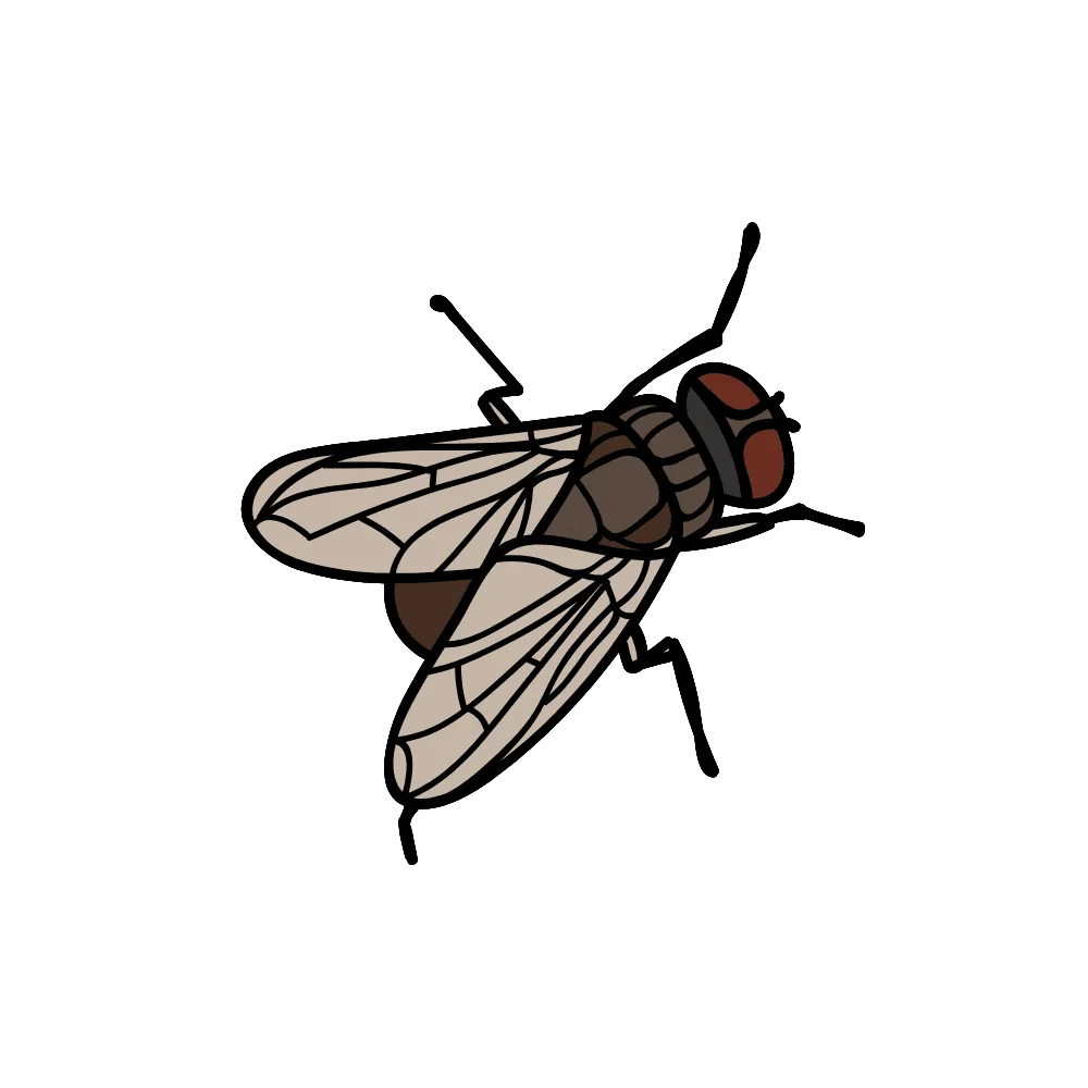 quality pest control winnipeg | Progressive Pest Management