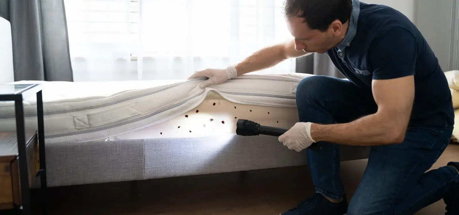 professional exterminators Winnipeg - Progressive Pest Management | Progressive Pest Management