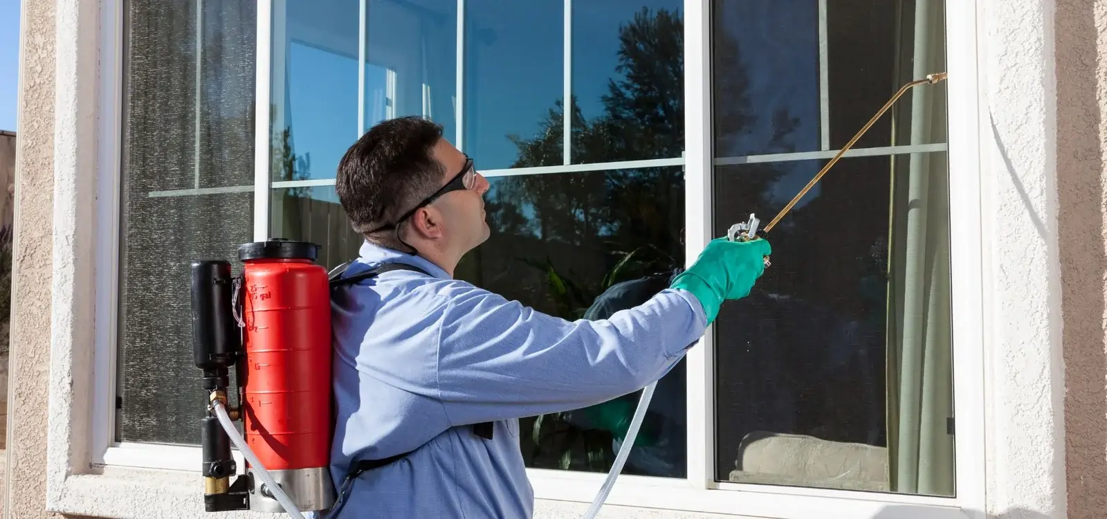 professional exterminators Winnipeg - Progressive Pest Management | Progressive Pest Management