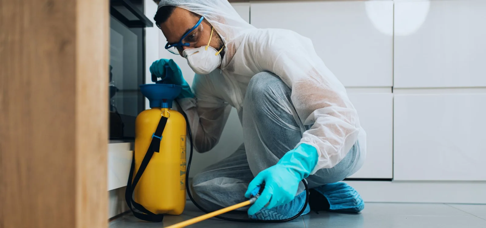 local pest control Winnipeg - Progressive Pest Management | Progressive Pest Management