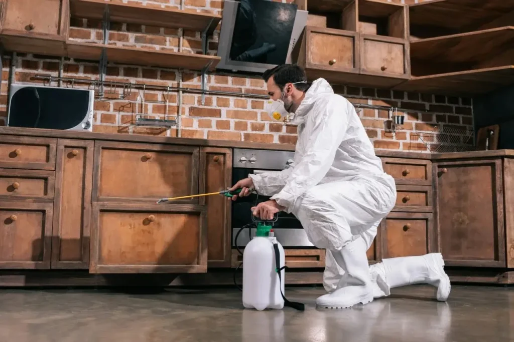 Bed Bug Exterminator Calgary: Heat vs Chemical